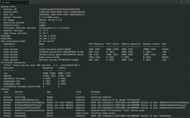 Terminal kubectl describe node command screenshot