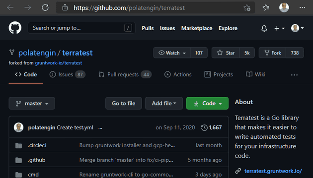 Forked Terratest repo screenshot